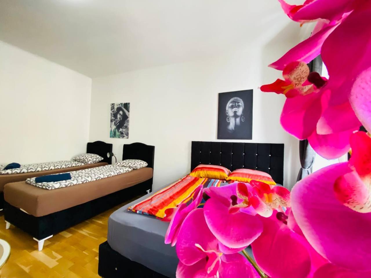 شقة Deluxe Studio In Josefstaedter Strasse Area فيينا المظهر الخارجي الصورة