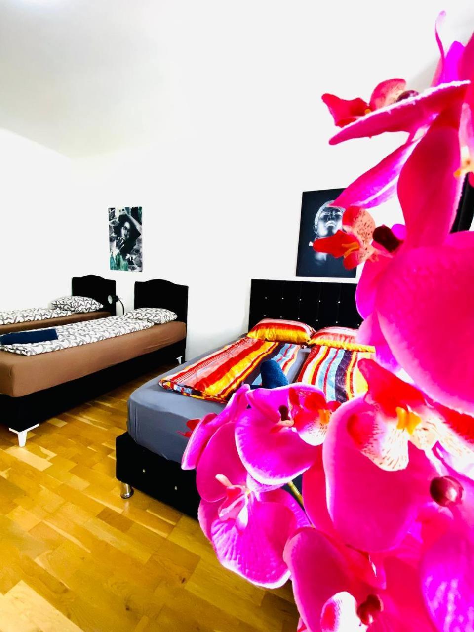 شقة Deluxe Studio In Josefstaedter Strasse Area فيينا المظهر الخارجي الصورة